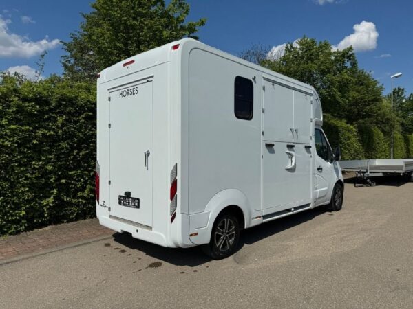 Transporteur de chevaux  3 chevaux Renault Master – Image 3